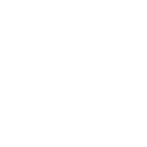 The Ohio State University